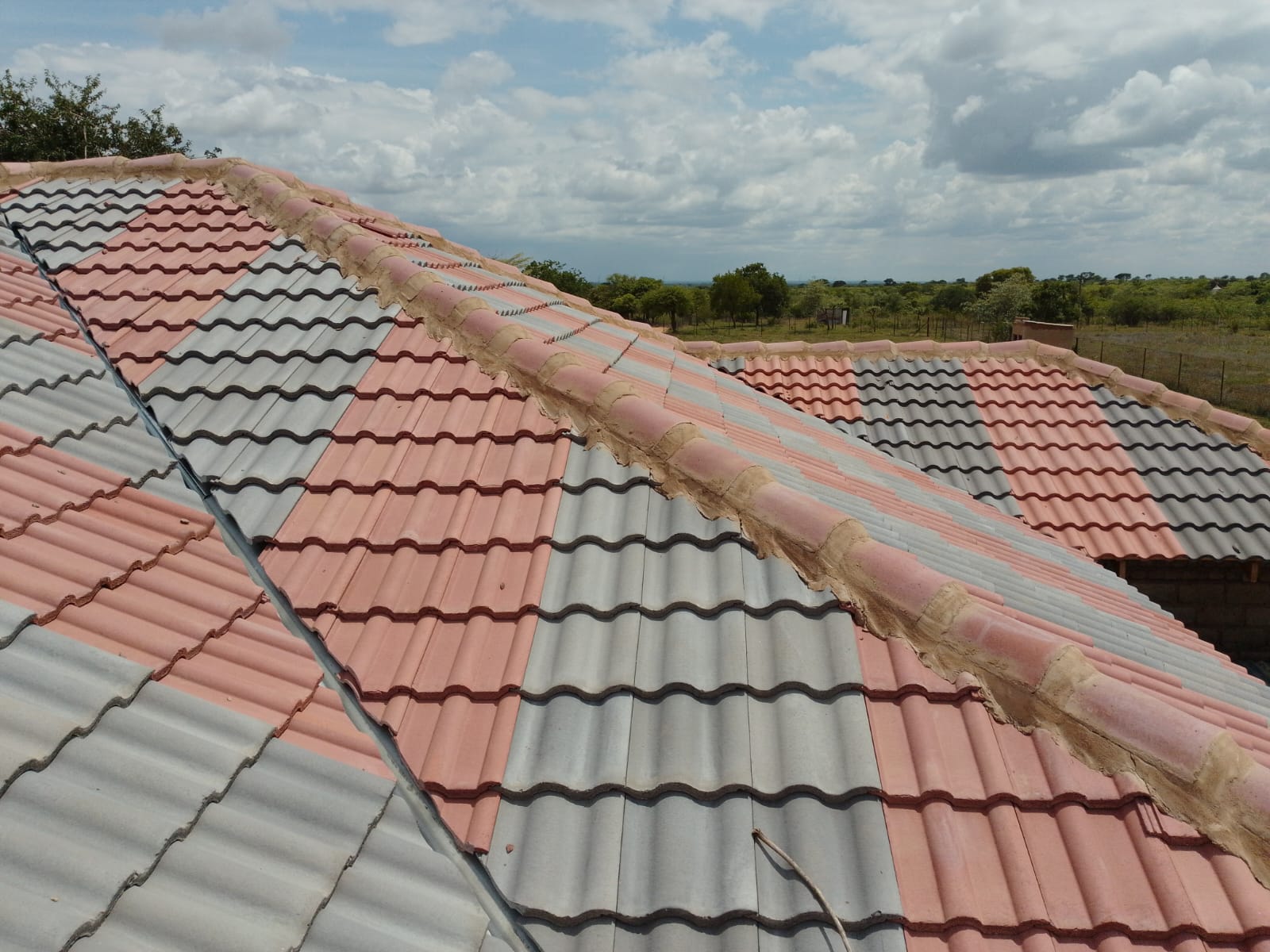 whatsapp image 2026 03 22 at 08.50.26